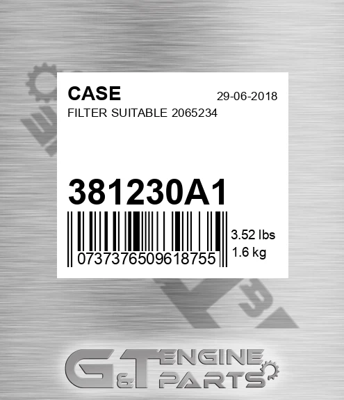381230A1 Filter Suitable 2065234 for CASE