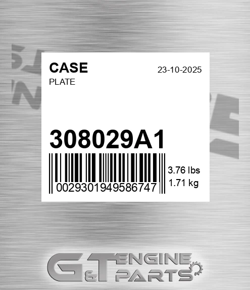 308029A1 Plate