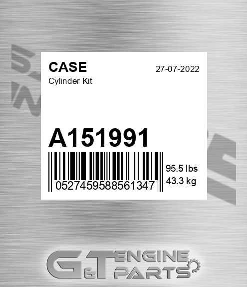 A151991 CASE Cylinder Kit