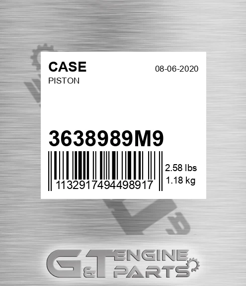 3638989M9 Piston