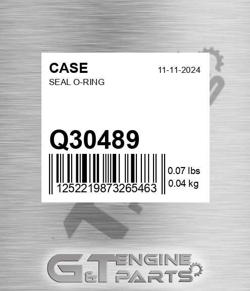 Q30489 CASE Seal O-ring