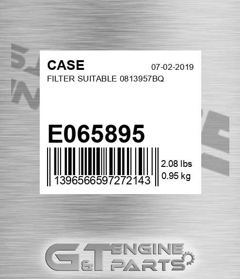 E065895 Filter Suitable 0813957bq