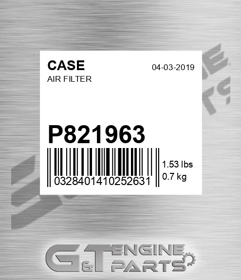 P821963 CASE Air Filter
