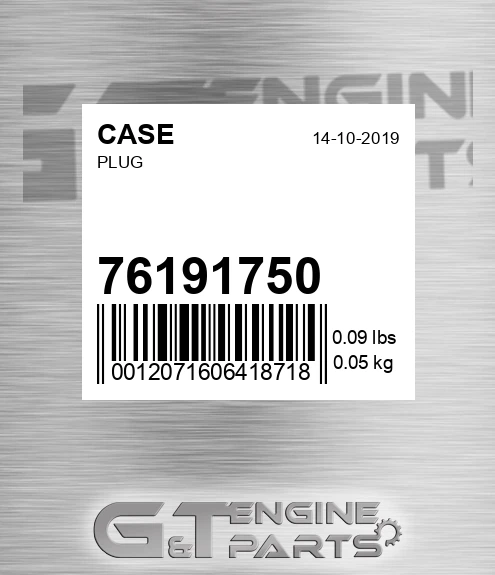 76191750 CASE Plug