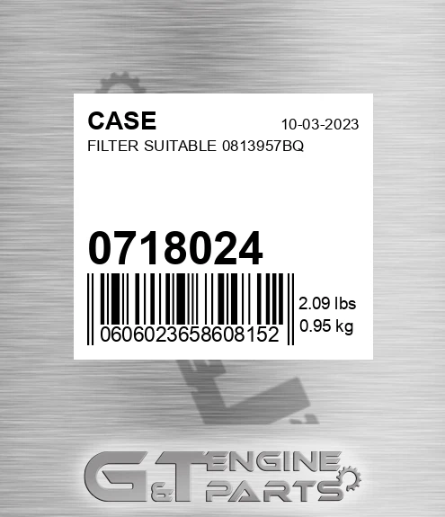 0718024 CASE Filter Suitable 0813957bq