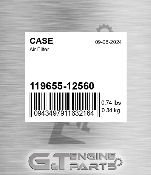 119655-12560 Air Filter