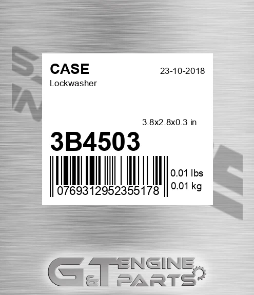 3B4503 CASE Lockwasher
