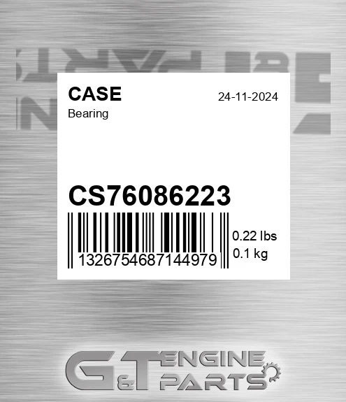 CS76086223 Bearing for CASE