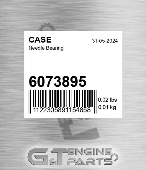 6073895 Needle Bearing