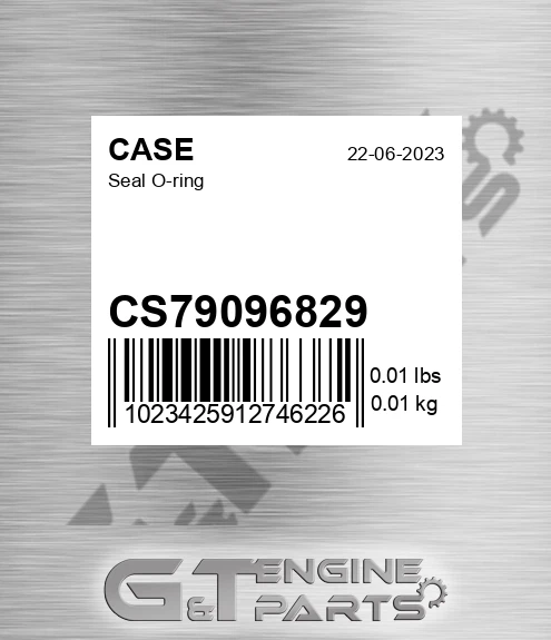 CS79096829 Seal O-ring