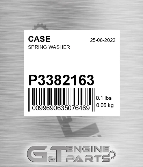 P3382163 Spring Washer