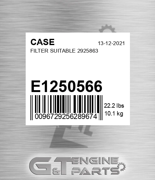 E1250566 CASE Filter Suitable 2925863