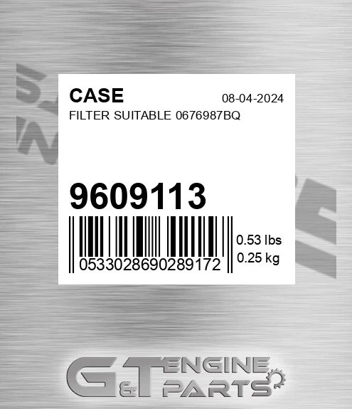 9609113 CASE Filter Suitable 0676987bq