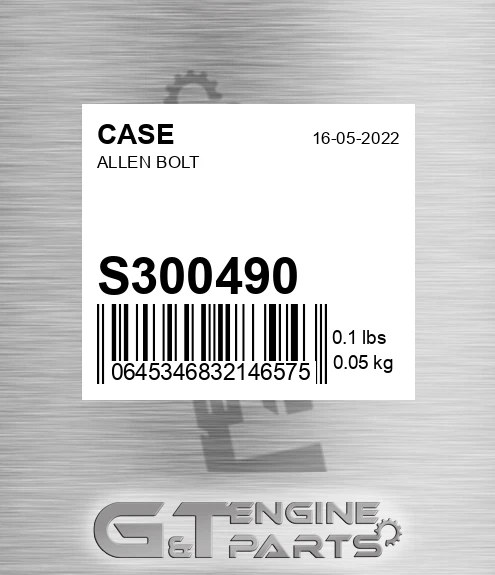 S300490 Allen Bolt