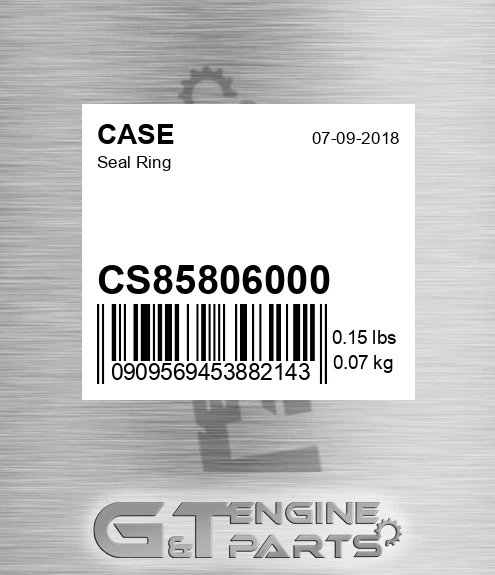 CS85806000 CASE Seal Ring