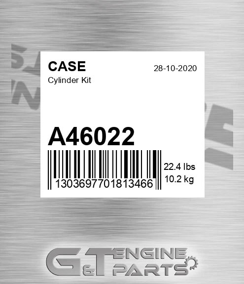 A46022 CASE Cylinder Kit