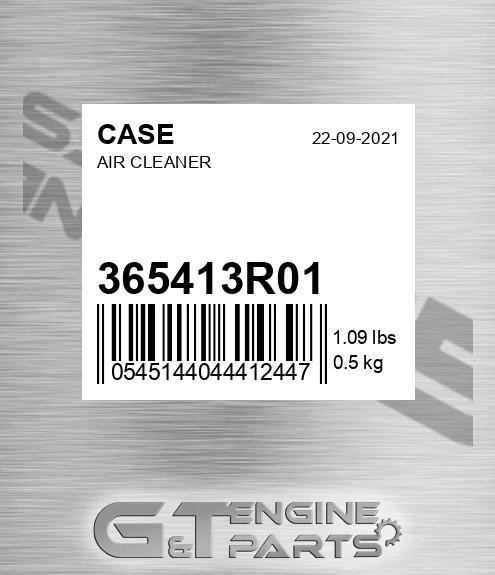 365413R01 Air Cleaner