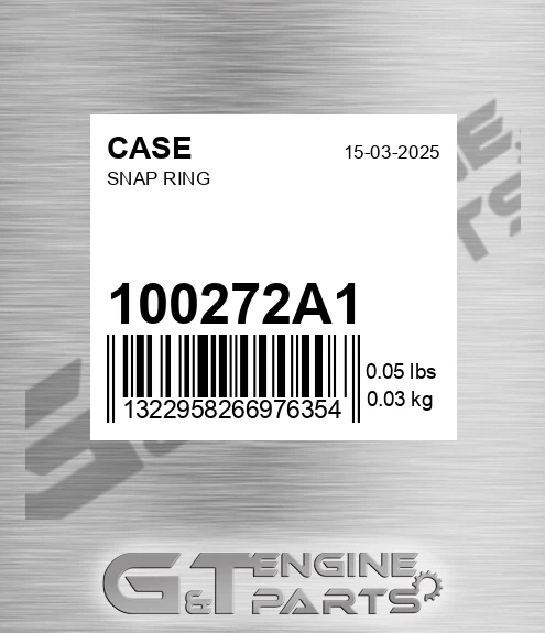 100272A1 Snap Ring