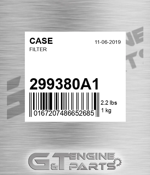 299380A1 CASE Filter
