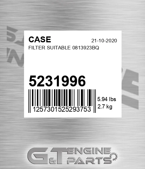 5231996 Filter Suitable 0813923bq