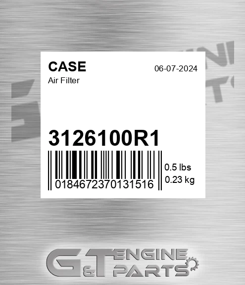 3126100R1 CASE Air Filter