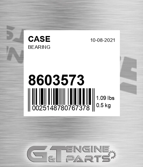 8603573 CASE Bearing
