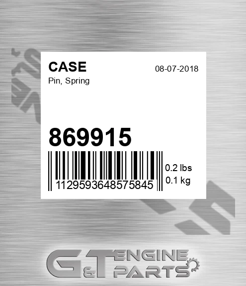 869915 CASE Pin, Spring