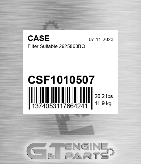 CSF1010507 CASE Filter Suitable 2925863bq