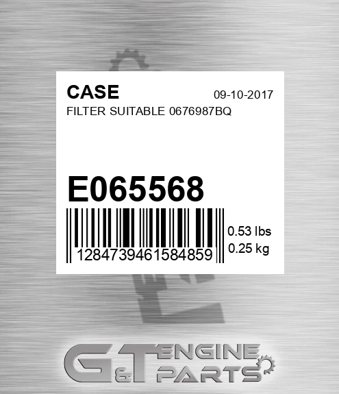 E065568 CASE Filter Suitable 0676987bq