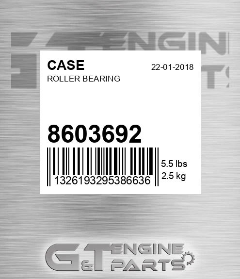 8603692 CASE Roller Bearing