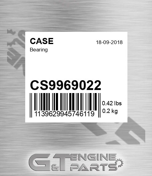 CS9969022 CASE Bearing