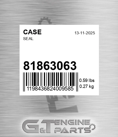 81863063 CASE Seal