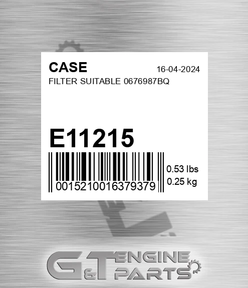 E11215 CASE Filter Suitable 0676987bq