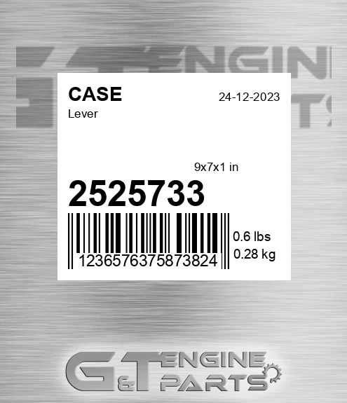 2525733 CASE Lever