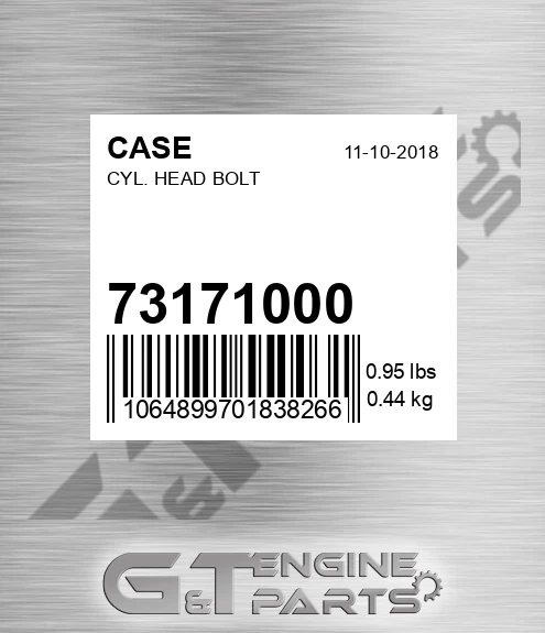 73171000 CASE Cyl. Head Bolt