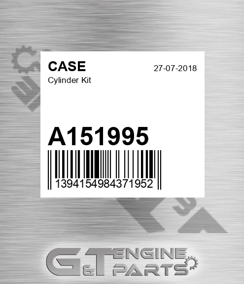 A151995 CASE Cylinder Kit