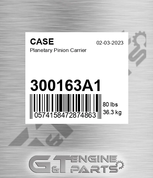 300163A1 Planetary Pinion Carrier