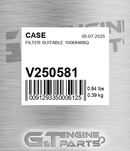 V250581 CASE Filter Suitable 1006848bq