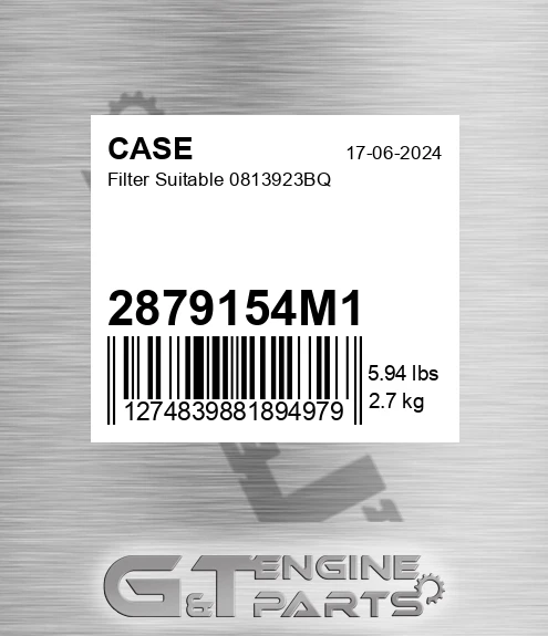 2879154M1 CASE Filter Suitable 0813923bq