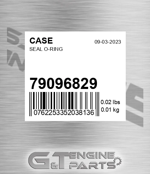 79096829 Seal O-ring