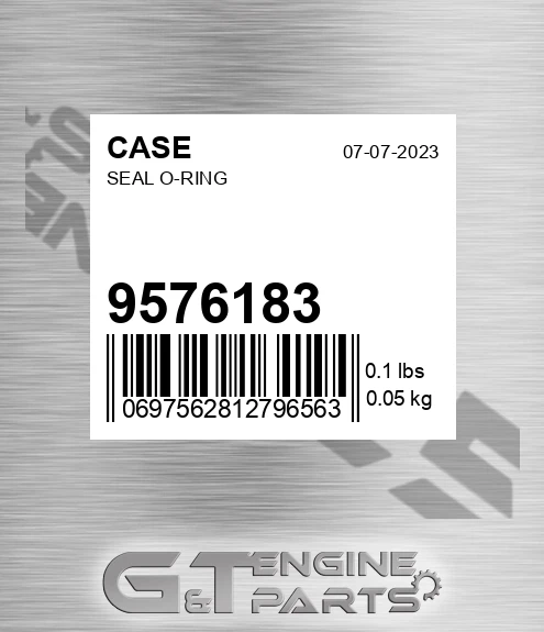 9576183 CASE Seal O-ring