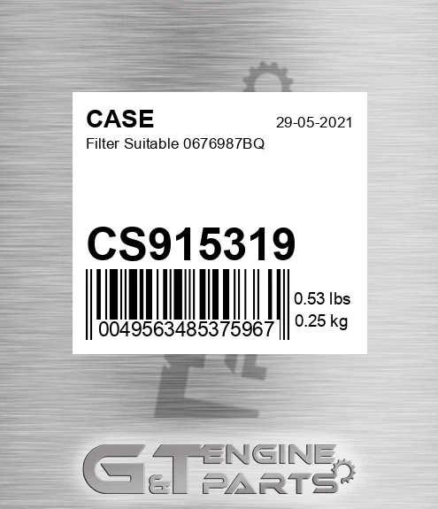 CS915319 Filter Suitable 0676987bq