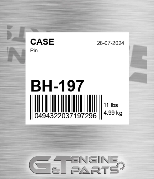 BH-197 Pin for CASE
