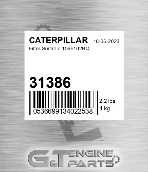 31386 Filter Suitable 1596102bq