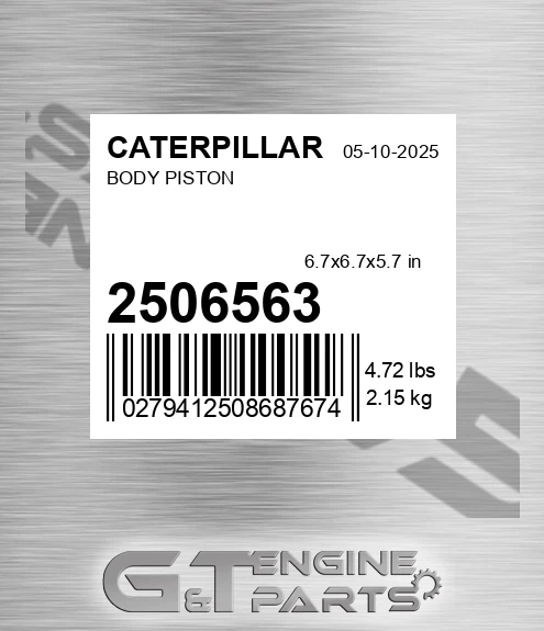 250-6563 Body Piston