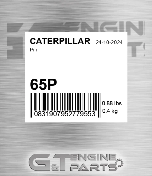 65P Pin