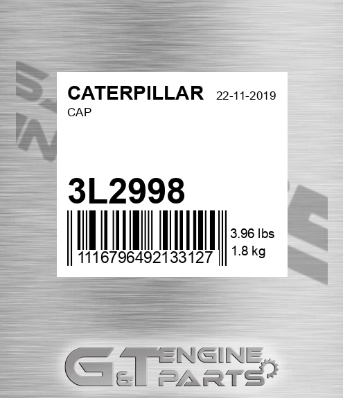 3L2998 Cap Assy, Rain