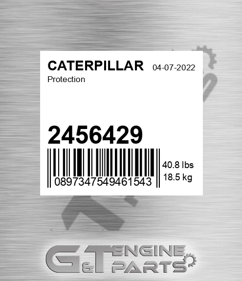 2456429 Protection