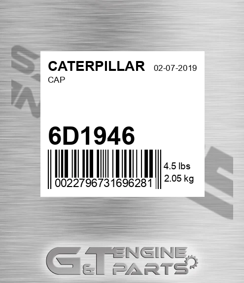 6D1946 Cap