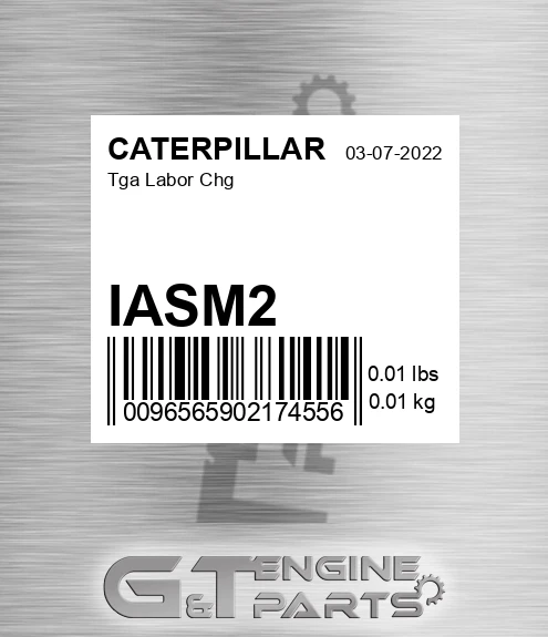 IASM2 Tga Labor Chg